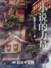 小说的力量