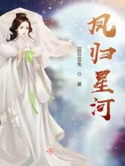 凤归星河