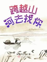 跨越山河去找你